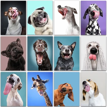 5D DIY Diamond Maľovanie Auta zvierat Legrační Karikatúra psa Buldog Plný Štvorcové a Okrúhle výšivky mozaiky Cross stitch Farby domova 1